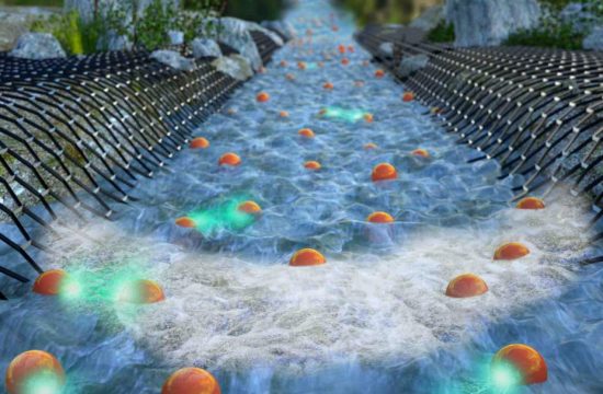 Ilani electron river foam press