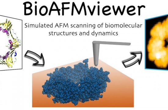 bioafmviewer