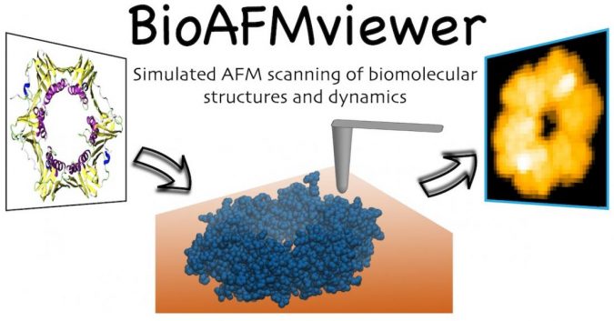 bioafmviewer