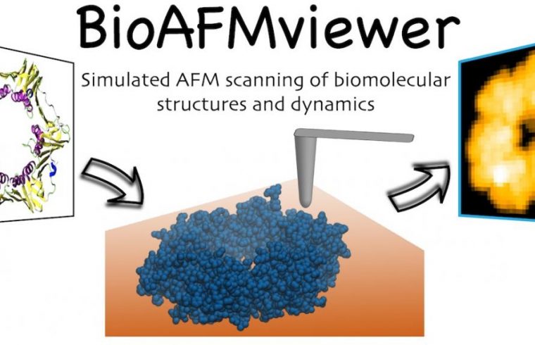 bioafmviewer