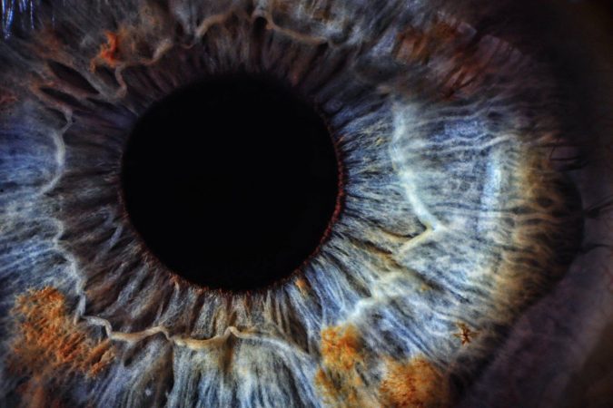 retina for fisxing genetic mistakes to restore vision