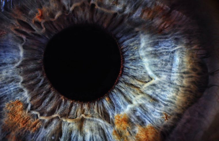 retina for fisxing genetic mistakes to restore vision