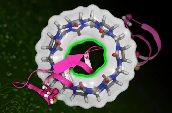 MIT Binding Affinity 01 press