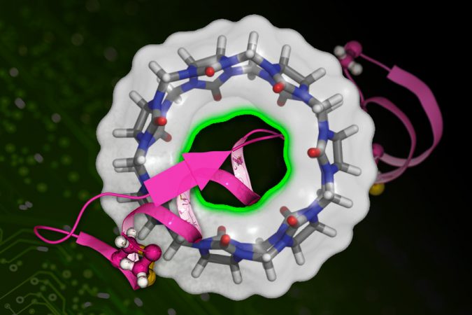 MIT Binding Affinity 01 press