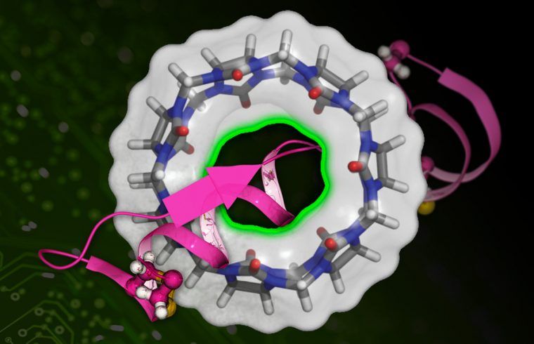 MIT Binding Affinity 01 press