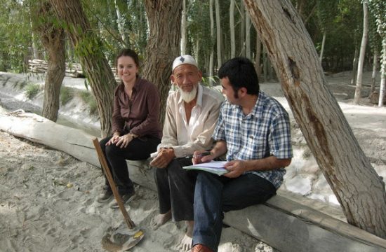 dr alessandra cappelletti