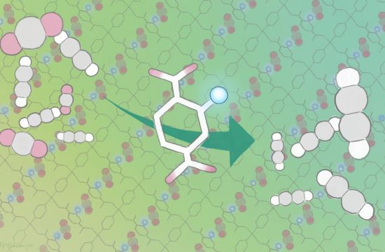 kitagawa angew takamiya press
