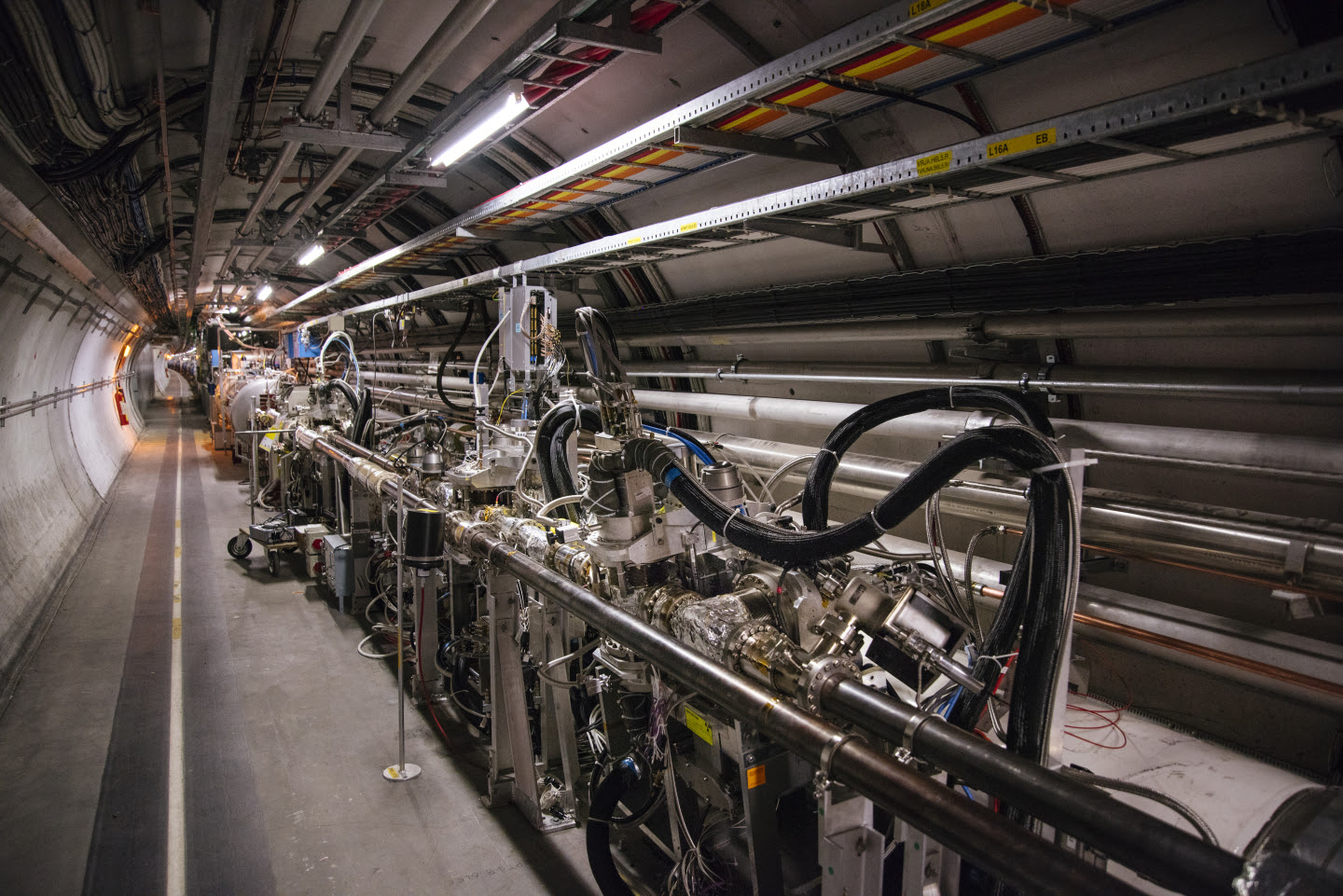 totem do odderon discovery cern