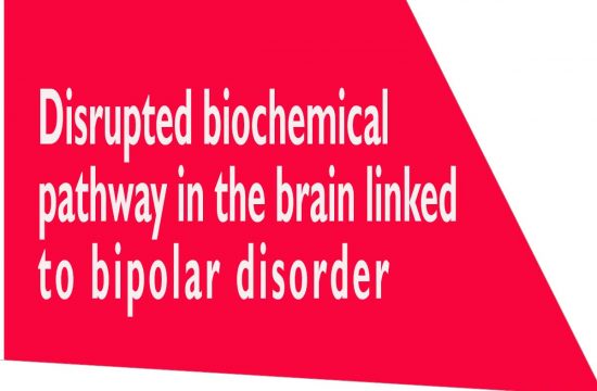 biochemical pathway