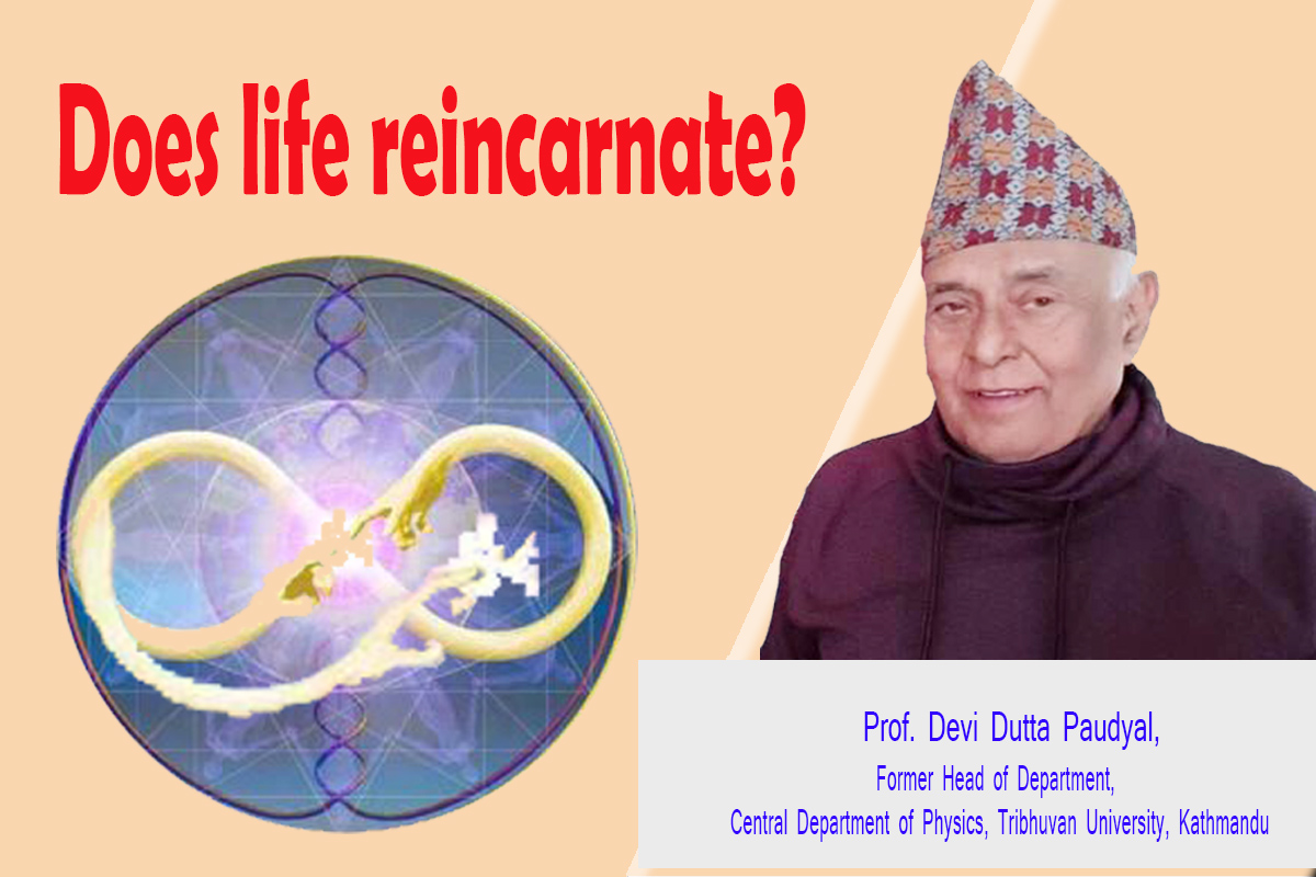 Does life reincarnate?