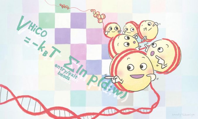 Hi-CO unravels the complex packing of nucleosomes 2 taniguchi NatProto takamiya