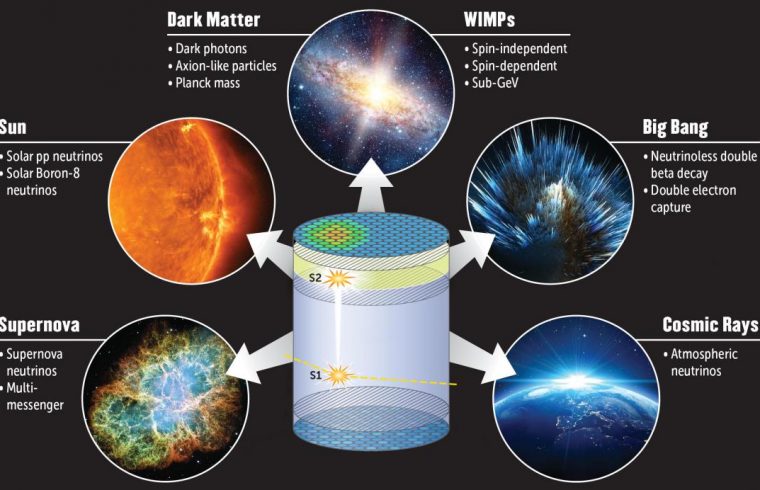 NextGenerationXenonDetector