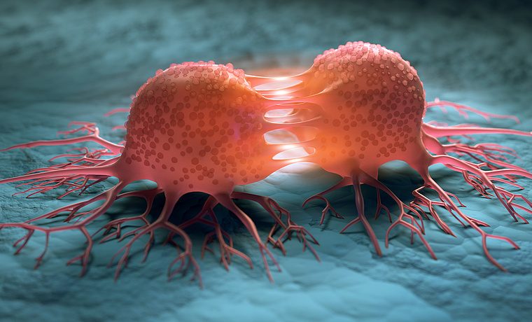 csm Cancer cell by peterschreiber media