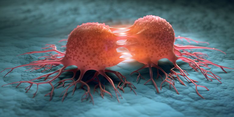 World’s First Digital Model of a Cancer Cell