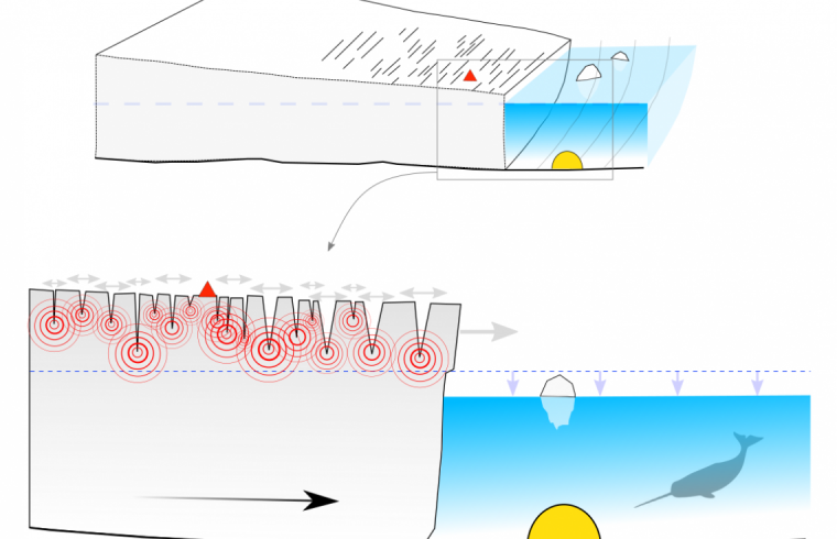 ocean bottom seismometer