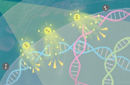 tamanoi scirep takamiya cancer cells research
