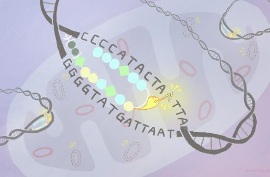 namasivayam cellchembio takamiya