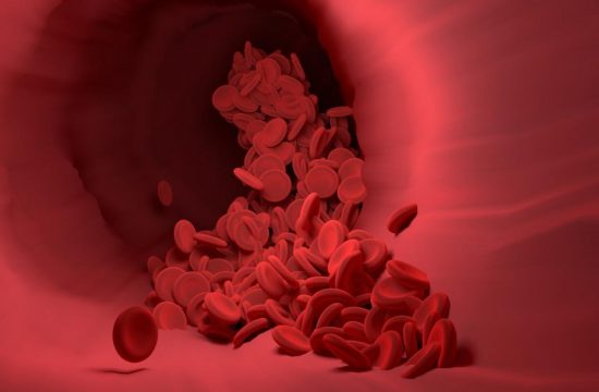 red blood cell IMage