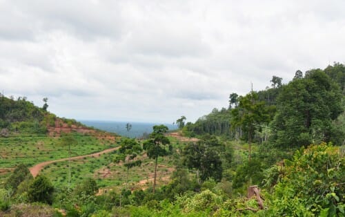 Nearby forest loss predicts future deforestation on protected lands