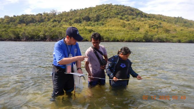 linking humans with blue carbom ecosystems