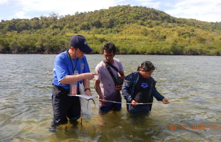 linking humans with blue carbom ecosystems