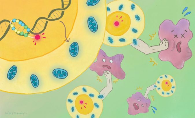 Scientists design molecular code that powers up cancer-fighting immune cells 2 namasivayam celchembiol takamiya