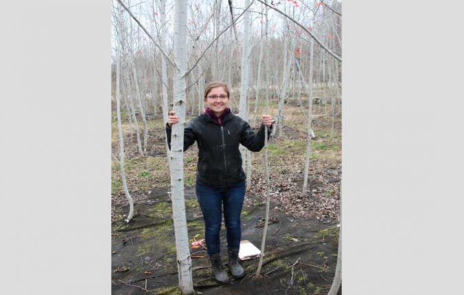 Study shows how aspen forests maintain the diversity needed to adapt to changing environments 2 researcher Olivia Cope
