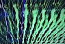 cern quantum technology
