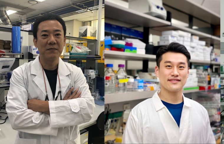 Dr. Choi team