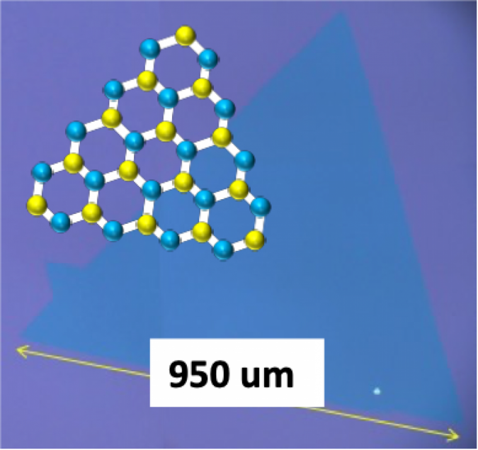 Typical monolayer and single crystal WS2