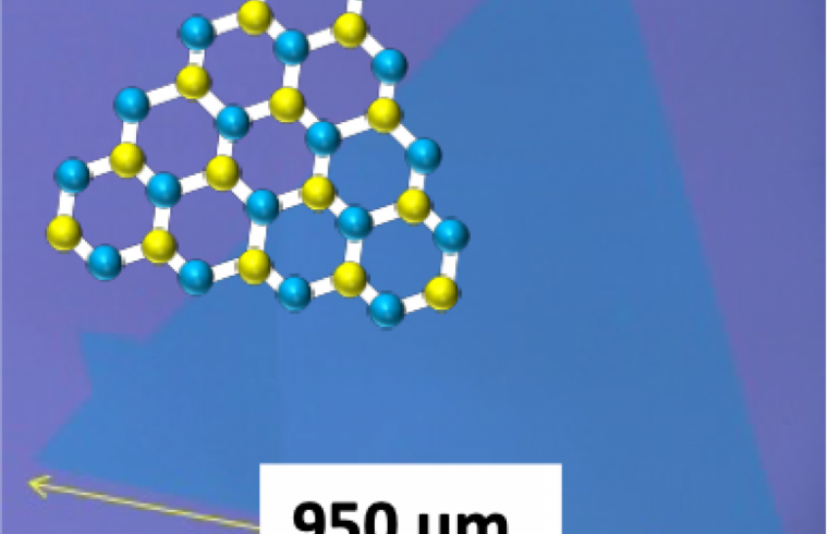 Typical monolayer and single crystal WS2