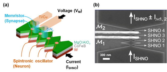 Memristive Spintronic Neurons: Combining Two Cognitive Computing Nano-elements into One 2 neuron