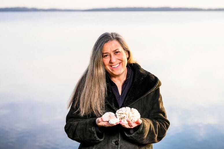 Coral skeleton formation rate determines resilience to acidifying oceans