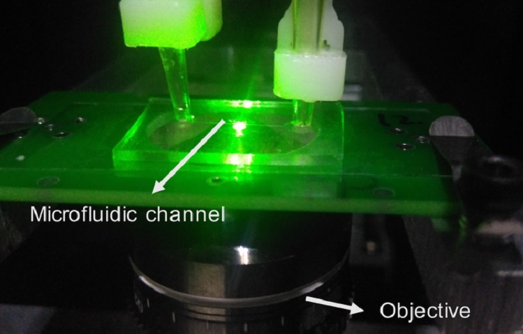 microfluid channel