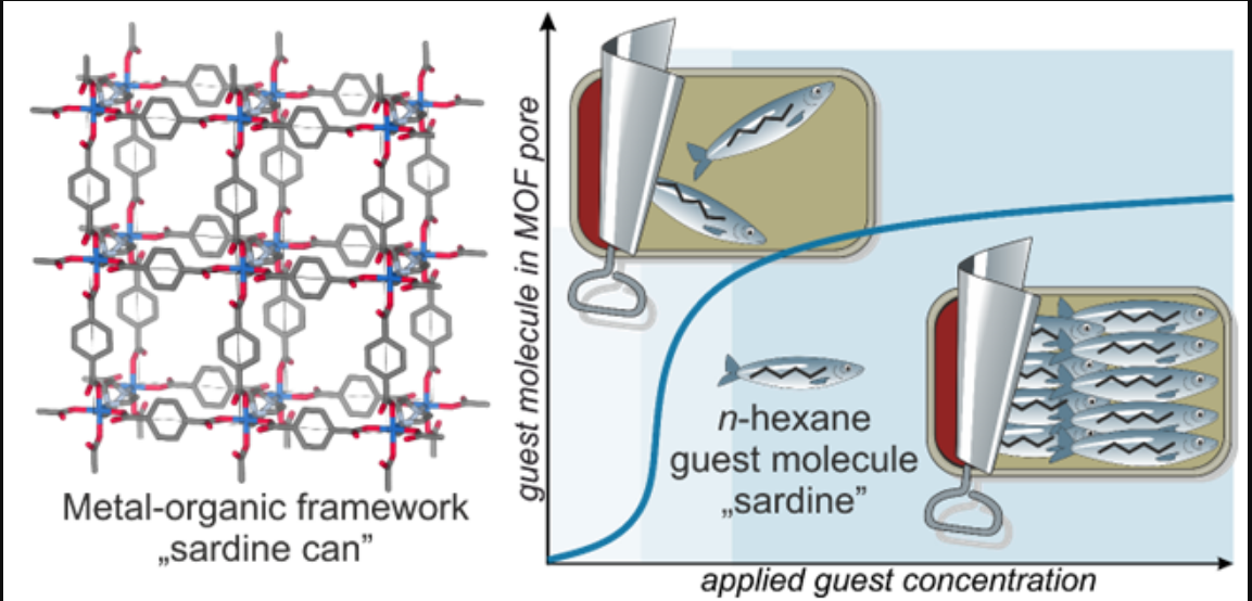 Observing molecules inside a nanometer-sized “sardine can”