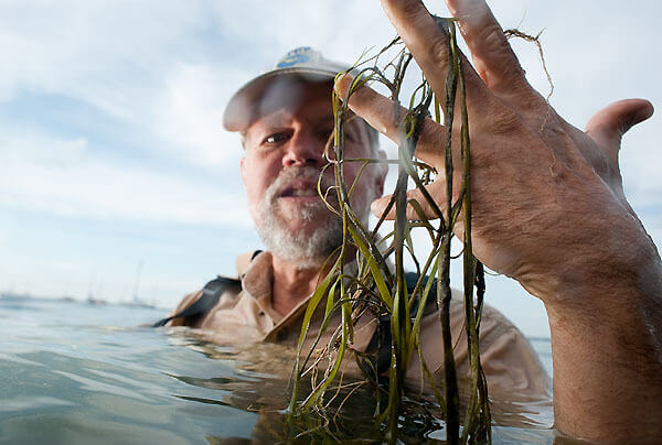 UW scientist wins Blue Planet Prize