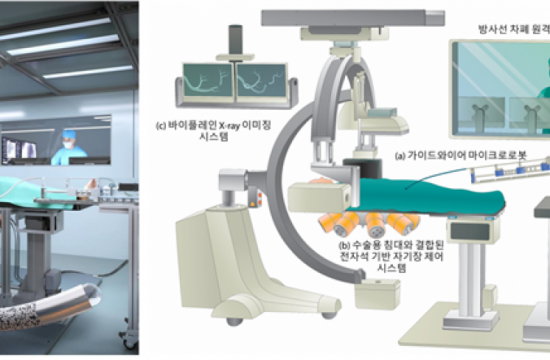 Electromagnetically Controllable Microrobotic Interventional System