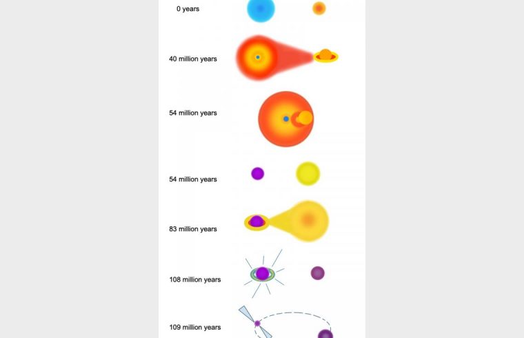 Figure1 en