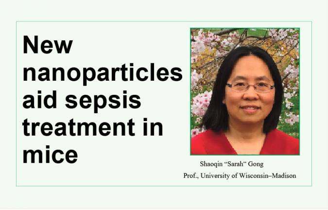 New nanoparticles aid sepsis treatment in mice 2 gong