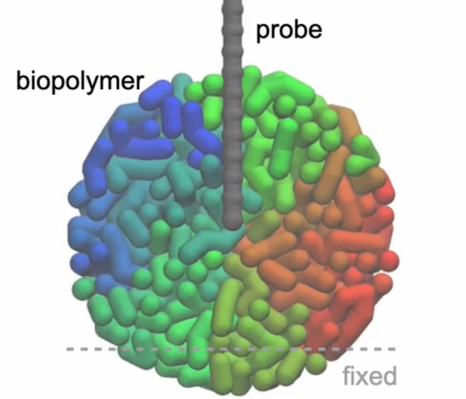 Simulating 3D-AFM images for systems, not in equilibrium 2 Three dimensional atomic force microscopy