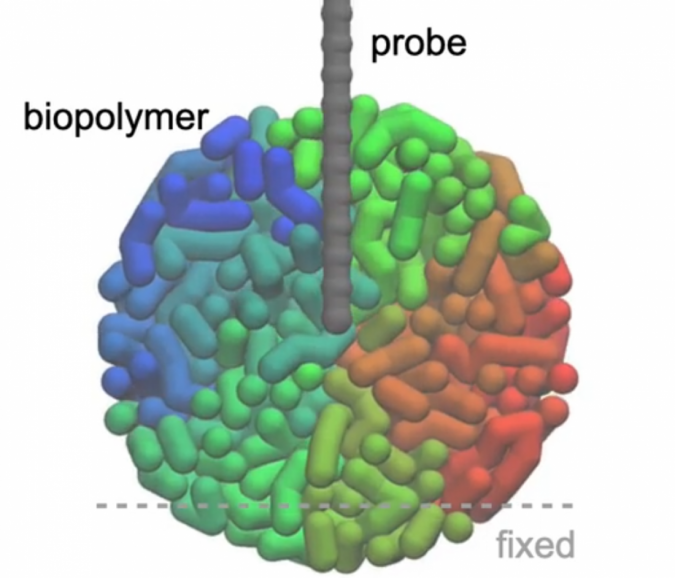 Three dimensional atomic force microscopy