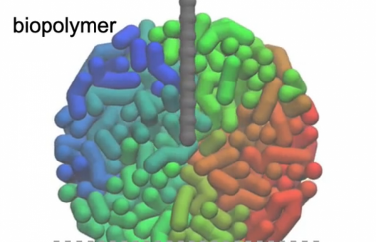 Three dimensional atomic force microscopy