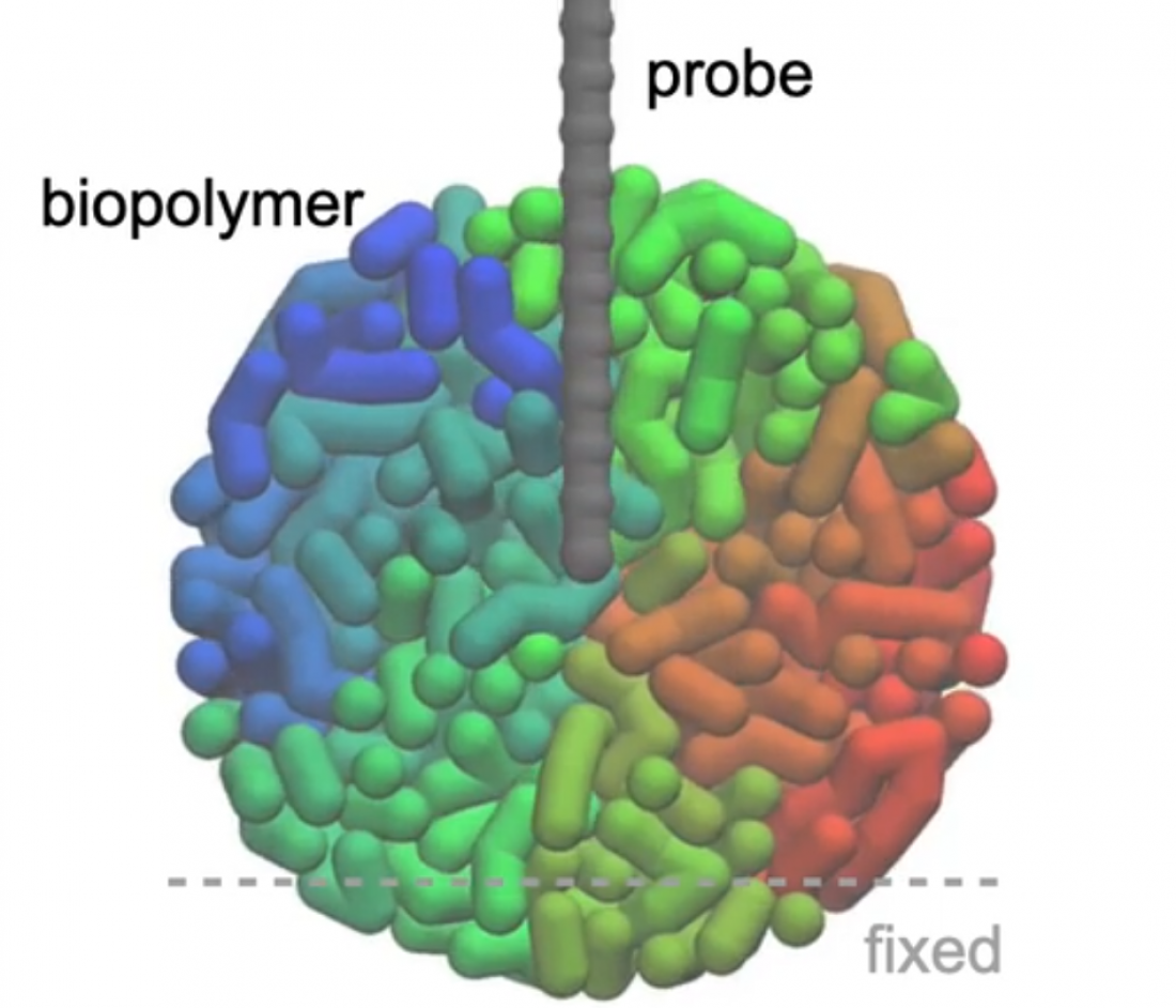 Simulating 3D-AFM images for systems, not in equilibrium