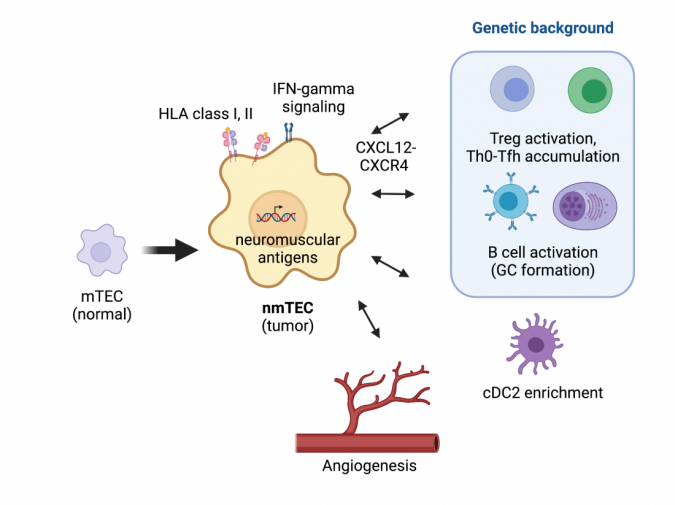 mg pathology