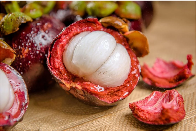Mangosteen Peel as Medicine for Intestinal Inflammation in…
