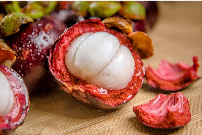 Mangosteen Peel as Medicine for…