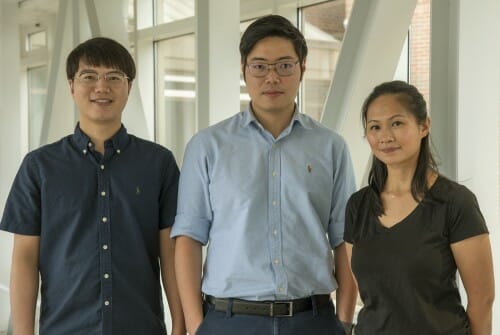 Enzyme, proteins work together to…