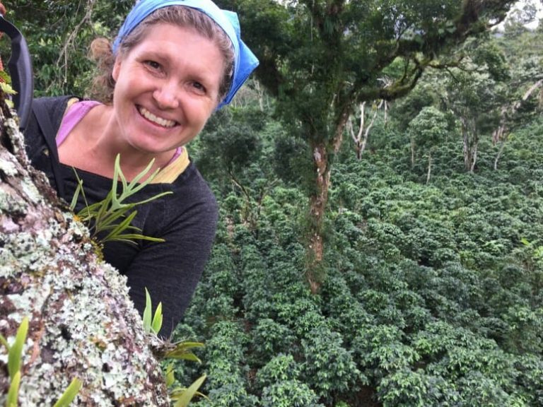 Lightning strikes shape tropical forests