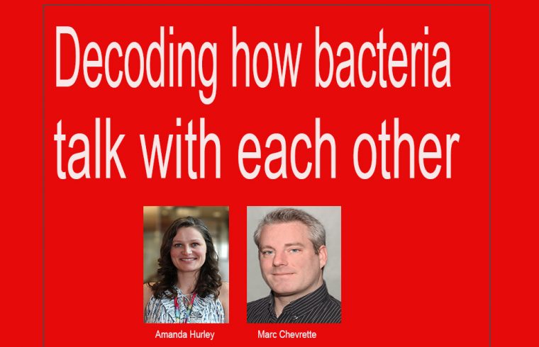 decoding bacteria