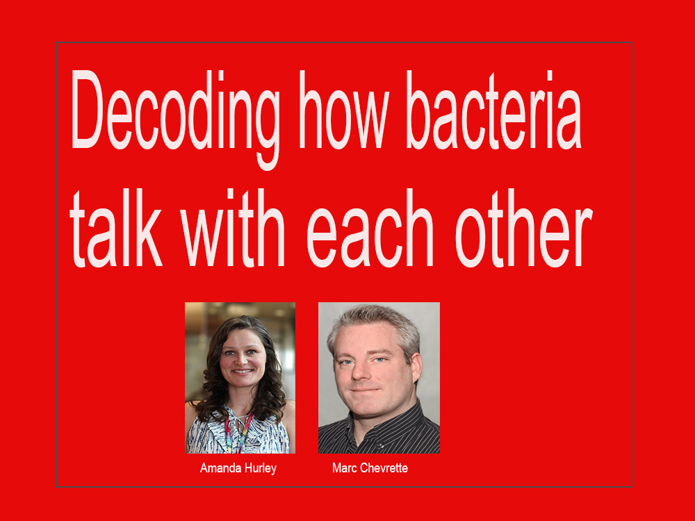 Decoding how bacteria talk with each other